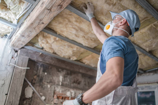 Best Residential Insulation in Savannah, TN